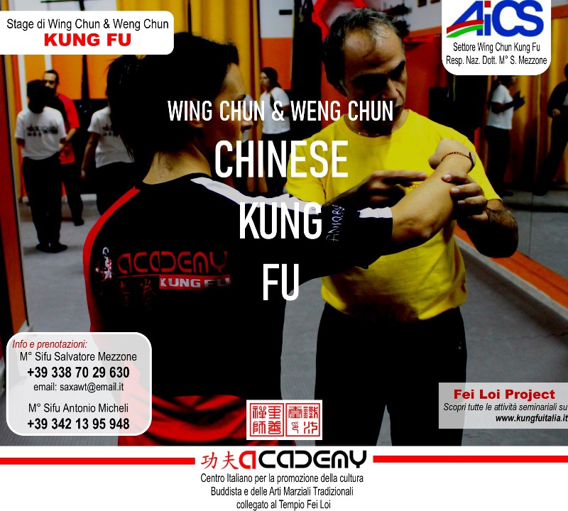 17  Fei Loi Project Kung Fu seminars Arti marziali cinesi Cina Italia wing chun Ip Man, weng chun Tang Yik, Chi Kung